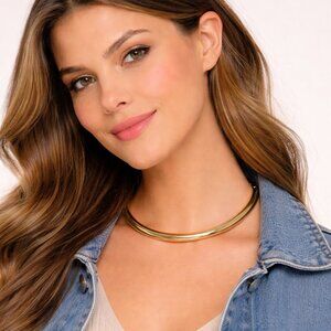 NWT-Ann Taylor Gold Tone Choker Necklace-From Day to Night